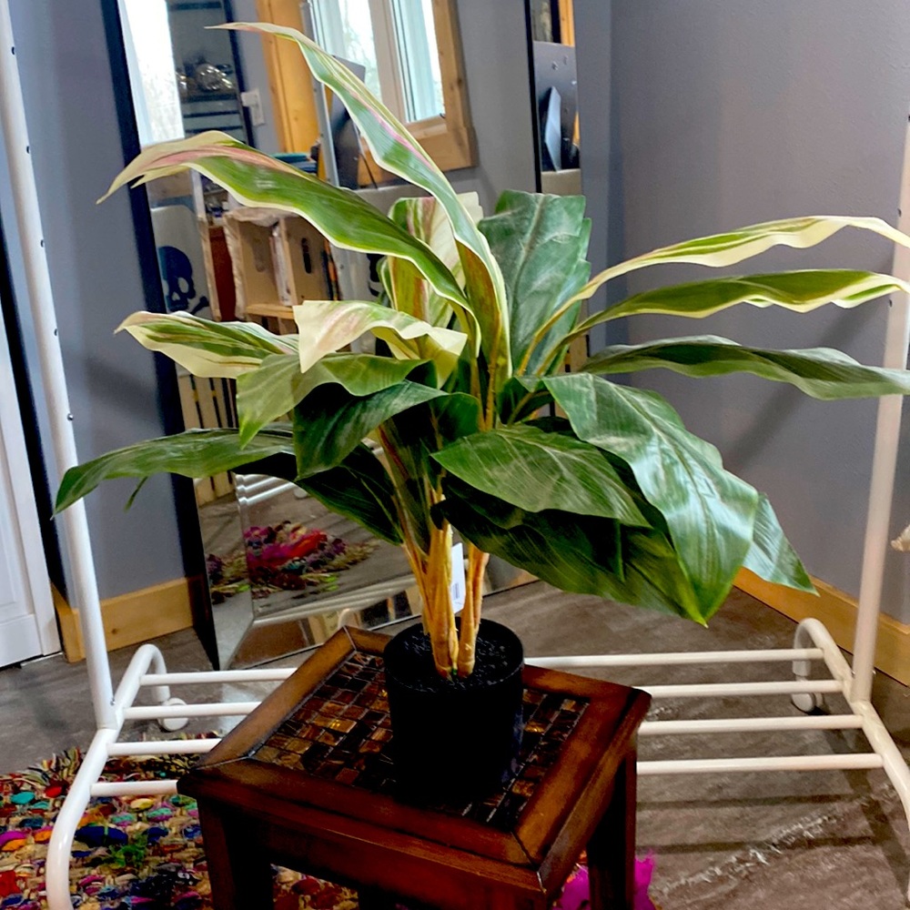 Can’t keep real plants alive? This faux plant in pot looks like the real deal.